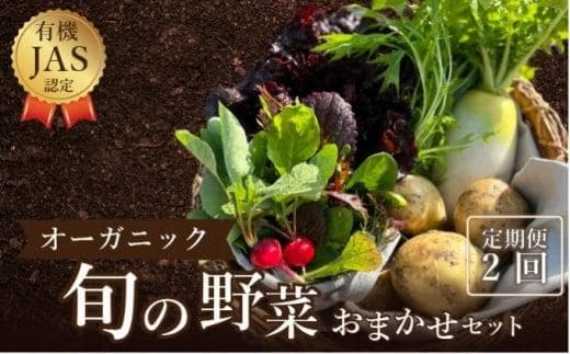 野菜 詰め合わせ 定期便 よしむら農園 オーガニックおまかせ野菜セット/2回定期便 野菜 詰め合わせ オーガニック おまかせ セット 一人暮らし 野菜炒め 無添加 旬 有機栽培 JAS 新鮮
