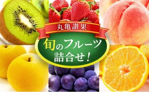 フルーツ 詰め合わせ セット 丸亀讃果(1回便) 今が旬の厳選果実 旬のフルーツ 食べ比べ いちご みかん デコポン びわ 桃 梨 ぶどう 柿 キウイ 柑橘 柑橘類 果物 デザート おやつ 旬 産地直送 旬の果物 お取り寄せ 取り寄せ フルーツギフト 人気果物 人気フルーツ 送料無料 冷蔵 冷蔵配送 香川