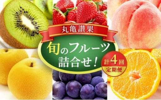 【丸亀讃果】【定期便 4ヶ月】 今が旬の厳選果実 詰め合わせ 旬のフルーツ 食べ比べ いちご みかん デコポン びわ 桃 梨 ぶどう 柿 キウイ 柑橘 柑橘類 果物 デザート おやつ 旬 産地直送 旬の果物 フルーツギフト フルーツ定期 フルーツ定期便 果物定期 果物定期便 人気果物 人気フルーツ お取り寄せ 冷蔵 冷蔵配送 定期 4回