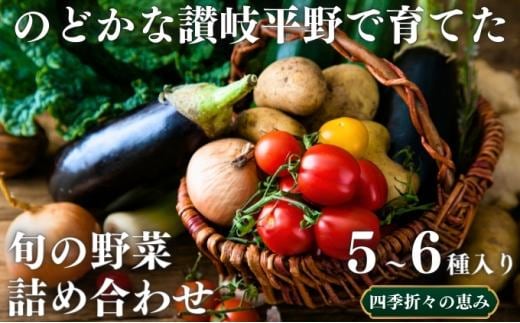 のどかな讃岐平野で育てた 旬の野菜 詰め合わせセット 今が旬 健康 野菜ボックス ヘルシー食材