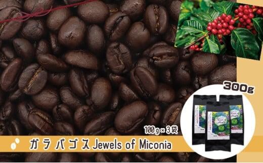 50度お湯洗い焙煎豆 ガラパゴス Jewels of Miconia