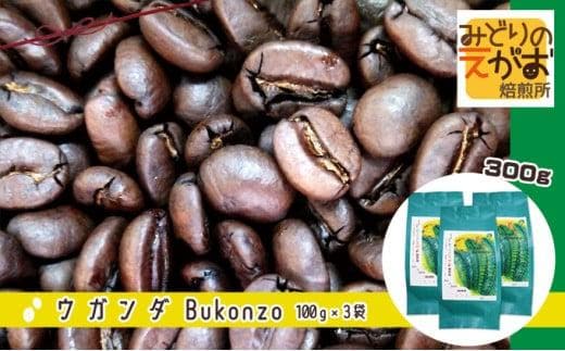 50度お湯洗い焙煎豆 ウガンダ Bukonzo 中やや深め焙煎