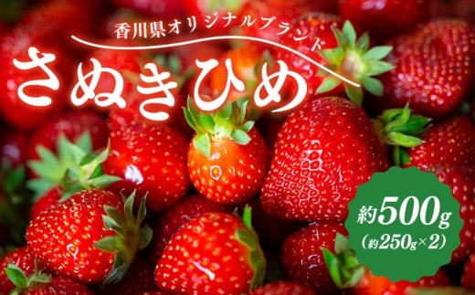 先行予約 いちご さぬきひめ 約500g (250g×2) 果物 フルーツ 苺 デザート スイーツ ケーキ ジュース ゼリー アイス シャーベット ジェラート フルーツ大福 ドライフルーツ クレープ ギフト 家庭用 旬の果物 旬 ビタミンC 美容 健康 お取り寄せ グルメ 人気 おすすめ 香川県 丸亀市
