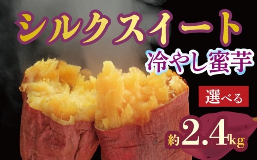 焼き芋 蜜芋 冷蔵 シルクスイート 約2.4kg 芋 さつまいも おいも お芋 やきいも サツマイモ おやつ スイーツ デザート コグマ ダイエット 低GI 食物繊維 香川県 丸亀市 配送：11月下旬～