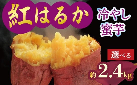 焼き芋 蜜芋 冷蔵 紅はるか 約2.4kg 芋 さつまいも おいも お芋 やきいも サツマイモ おやつ スイーツ デザート コグマ ダイエット 低GI 食物繊維 香川県 丸亀市 配送：11月下旬～