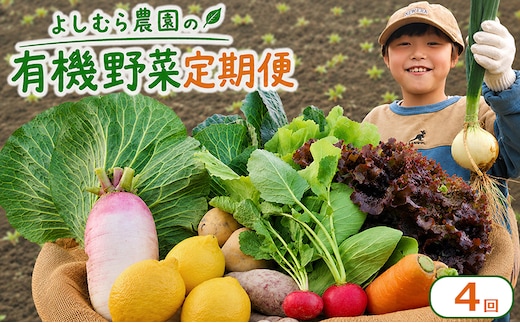 野菜 定期便 4回 詰め合わせ 10種 よしむら農園 オーガニック 有機 有機野菜 やさい ベジタブル おまかせ セット 一人暮らし おすすめ レタス とうもろこし トマト 有機栽培 JAS 栄養 贅沢 国産 大容量 人気 新鮮 今が旬 香川県 丸亀市
