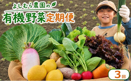 野菜 定期便 3回 詰め合わせ 10種 よしむら農園 オーガニック 有機 有機野菜 やさい ベジタブル おまかせ セット 一人暮らし おすすめ レタス とうもろこし トマト 有機栽培 JAS 栄養 贅沢 国産 大容量 人気 新鮮 今が旬 香川県 丸亀市