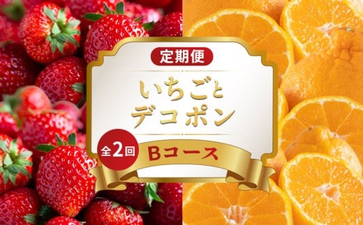 旬のフルーツ 定期便 2回 Bコース 果物 フルーツ いちご 苺 さぬきひめ デコポン 不知火 みかん 柑橘 蜜柑 デザート スイーツ ケーキ アイス ジェラート ふるさと納税定期便 ふるさと納税フルーツ ギフト 贈答 送料無料 ふるさと納税 香川県 丸亀市