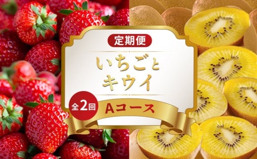 旬のフルーツ 定期便 2回 Aコース 果物 フルーツ いちご 苺 さぬきひめ キウイ さぬきゴールドキウイ キウイ デザート スイーツ ケーキ アイス ジェラート ふるさと納税定期便 ふるさと納税フルーツ ギフト 贈答 送料無料 ふるさと納税 香川県 丸亀市
