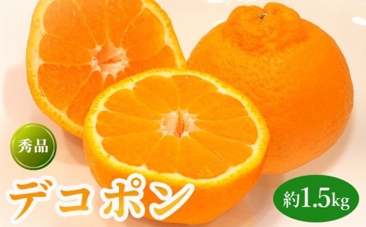 先行予約 デコポン 約1.5kg 果物 フルーツ デコポン 不知火 みかん 蜜柑 柑橘 デザート スイーツ ケーキ ジュース ゼリー アイス シャーベット ジェラート ギフト 家庭用 旬の果物 旬 お取り寄せ グルメ 人気 おすすめ 香川県 丸亀市