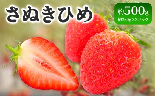 先行予約 いちご さぬきひめ 約500g 果物 フルーツ 苺 デザート スイーツ ケーキ ジュース ゼリー アイス シャーベット ジェラート フルーツ大福 ドライフルーツ クレープ ギフト 家庭用 旬の果物 旬 ビタミンC 美容 健康 お取り寄せ グルメ 人気 おすすめ 香川県 丸亀市