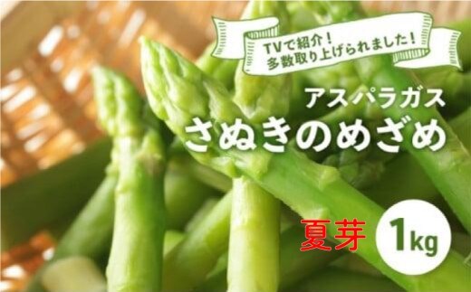 【先行予約】 アスパラガス さぬきのめざめ 夏芽 1kg アスパラ グリーンアスパラ 野菜 やさい 旬 旬の野菜 季節の野菜 産地直送 香川 香川県 丸亀 丸亀市 冷蔵 冷蔵配送 疲労回復 免疫力向上 食物繊維 ビタミンC 柔らかい 甘い 料理 おかず アスパラベーコン巻き 炒め フライ ポタージュ ふるさと納税アスパラ ふるさと納税野菜 株式会社五色青果