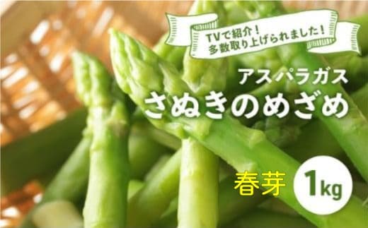 【先行予約】 アスパラガス さぬきのめざめ 春芽 1kg アスパラ グリーンアスパラ 野菜 やさい 旬 旬の野菜 季節の野菜 産地直送 香川 香川県 丸亀 丸亀市 冷蔵 冷蔵配送 疲労回復 免疫力向上 食物繊維 ビタミンC 柔らかい 甘い 料理 おかず アスパラベーコン巻き 炒め フライ ポタージュ ふるさと納税アスパラ ふるさと納税野菜 株式会社五色青果