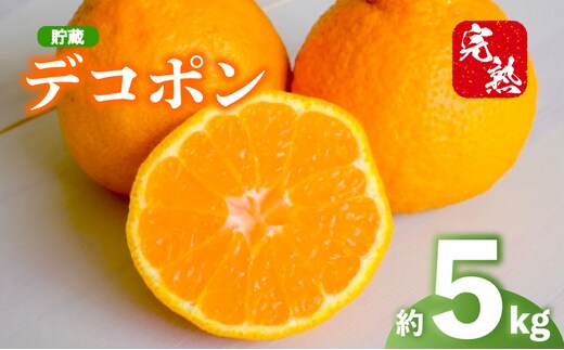 2027年 先行予約 デコポン 約5kg 不知火 しらぬい 貯蔵デコポン みかん 柑橘 蜜柑 オレンジ 果物 フルーツ 果実 旬 家庭用 4月下旬～5月下旬 配送 香川県 丸亀市