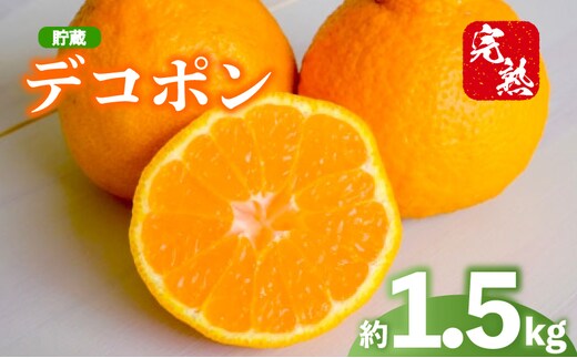 2027年 先行予約 デコポン 約1.5kg 不知火 しらぬい 貯蔵デコポン みかん 柑橘 蜜柑 オレンジ 果物 フルーツ 果実 旬 家庭用 贈答用 化粧箱 4月下旬～5月下旬 配送 香川県 丸亀市