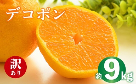2027年 先行予約 デコポン 約9kg 不知火 しらぬい みかん 柑橘 蜜柑 オレンジ 果物 フルーツ 果実 旬 家庭用 2月中旬～4月中旬 配送 香川県 丸亀市