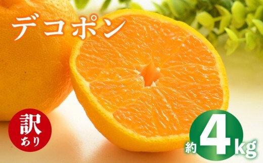 2027年 先行予約 デコポン 約4kg 不知火 しらぬい みかん 柑橘 蜜柑 オレンジ 果物 フルーツ 果実 旬 家庭用 2月中旬～4月中旬 配送 香川県 丸亀市