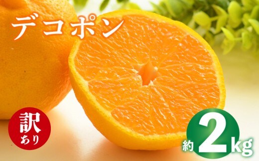 2027年 先行予約 デコポン 約2g 不知火 しらぬい みかん 柑橘 蜜柑 オレンジ 果物 フルーツ 果実 旬 家庭用 2月中旬～4月中旬 配送 香川県 丸亀市