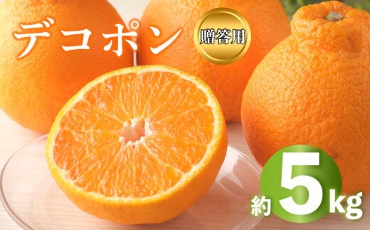 2027年 先行予約 デコポン 約5kg 不知火 しらぬい みかん 柑橘 蜜柑 オレンジ 果物 フルーツ 果実 旬 家庭用 1月下旬～3月中旬 配送 香川県 丸亀市