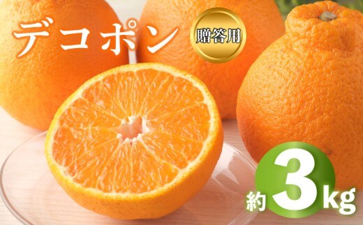 2027年 先行予約 デコポン 約3kg 不知火 しらぬい みかん 柑橘 蜜柑 オレンジ 果物 フルーツ 果実 旬 贈答用 化粧箱 1月下旬～3月中旬 配送 香川県 丸亀市