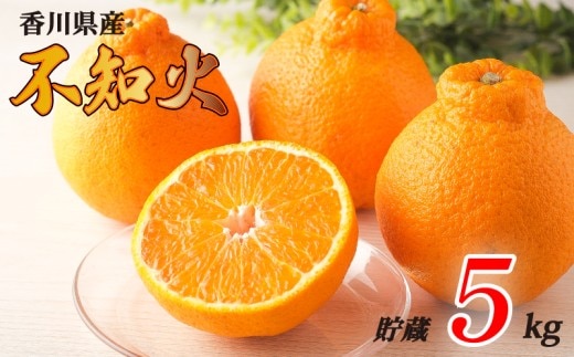 不知火 選べる 約5kg 貯蔵 冷蔵 先行予約 フルーツ 果物 柑橘 しらぬい みかん ふるさと納税みかん 香川県 丸亀市