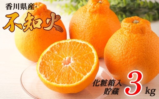 不知火 選べる 約3kg 貯蔵 化粧箱 冷蔵 先行予約 フルーツ 果物 柑橘 しらぬい みかん ふるさと納税みかん 香川県 丸亀市