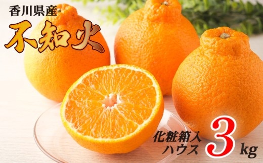 不知火 選べる 約3kg ハウス 化粧箱 常温 先行予約 フルーツ 果物 柑橘 しらぬい みかん ふるさと納税みかん 香川県 丸亀市