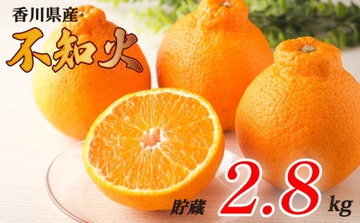不知火 選べる 約2.8kg 貯蔵 冷蔵 先行予約 フルーツ 果物 柑橘 しらぬい みかん ふるさと納税みかん 香川県 丸亀市