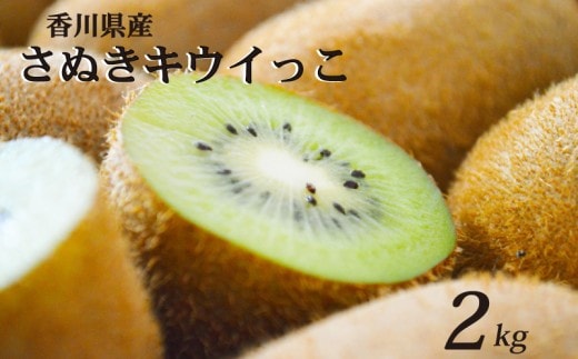 一口サイズ！ さぬきキウイっこ 約2kg 香川県産 キウイっこ キウイ キウイフルーツ 果物 ふるさと納税キウイ 香川県 丸亀市