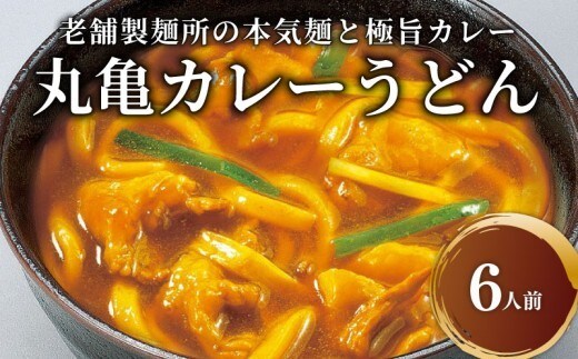 丸亀のカレーうどん 6人前 スープ付 本場の製麺所が本気で作った 宮武讃岐製麺所 個包装 常温 常温保存 日持ち 備蓄 カレーうどん 讃岐うどん カレー うどん さぬきうどん 半生麺 半生うどん 半生 麺 麺類 さぬき 讃岐 老舗 ふるさと納税うどん ふるさと納税カレー 本場 丸亀 香川