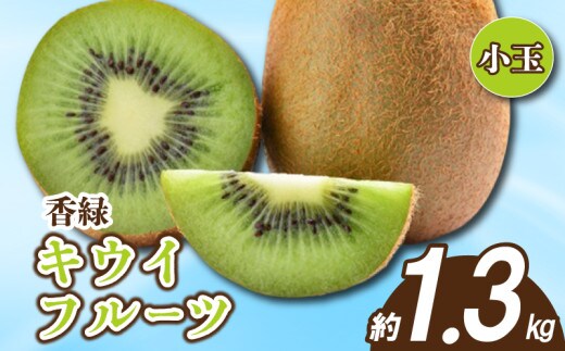 先行予約 キウイ 約1.3kg キウイフルーツ グリーンキウイ 小玉 香緑キウイ 果物 果実 フルーツ 旬 デザート 選べる 容量 11月下旬～1月中旬 配送 家庭用 贈答用 ギフト プレゼント 香川県 丸亀市
