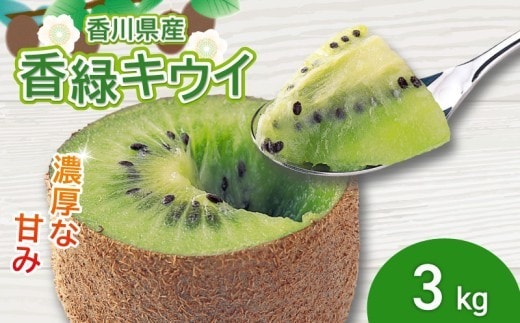 濃厚な甘み！ 香緑キウイ 約3kg 香川県産 香緑 キウイ キウイフルーツ 果物 ふるさと納税キウイ 香川県 丸亀市