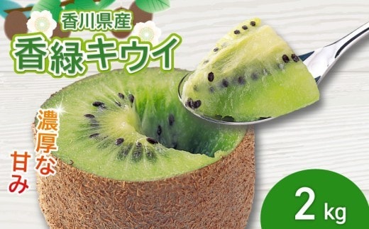 濃厚な甘み！ 香緑キウイ 約2kg 香川県産 香緑 キウイ キウイフルーツ 果物 ふるさと納税キウイ 香川県 丸亀市