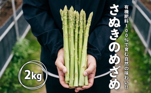 【2026年先行予約】グリーンアスパラガス さぬきのめざめ 2kg 朝採れ 鮮度バツグン 有機肥料 早朝収穫 人気 シャキシャキ 食感 新鮮 瑞々しい 甘い 歯ごたえ ロングサイズ アスパラガス 農場 収穫 特別品質 高品質 希少品質 美しい フレッシュ 品種改良 減農薬 野菜 旬 丸亀市 藤井農園