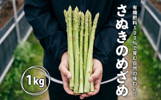 【2026年先行予約】グリーンアスパラガス さぬきのめざめ 1kg 朝採れ 鮮度バツグン 有機肥料 早朝収穫 人気 シャキシャキ 食感 新鮮 瑞々しい 甘い 歯ごたえ ロングサイズ アスパラガス 農場 収穫 特別品質 高品質 希少品質 美しい フレッシュ 品種改良 減農薬 野菜 旬 丸亀市 藤井農園