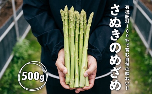 【2026年先行予約】 グリーンアスパラガス さぬきのめざめ 500g 朝採れ 鮮度バツグン 有機肥料 早朝収穫 人気 シャキシャキ 食感 新鮮 瑞々しい 甘い 歯ごたえ ロングサイズ アスパラガス 農場 収穫 特別品質 高品質 希少品質 美しい フレッシュ 品種改良 減農薬 野菜 旬 丸亀市 藤井農園