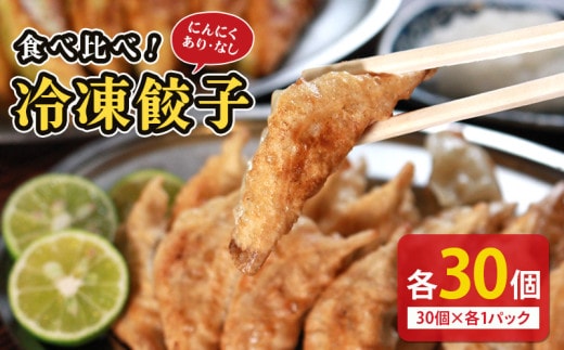 冷凍餃子 選べる容量 にんにくあり なし 食べ比べセット 各1個 餃子 セット ぎょうざ ギョウザ にんにく 青森 肉 お肉 豚肉 豚 鶏肉 鳥 おつまみ 加工品 肉汁 惣菜 お弁当 冷凍ストック 寺岡商店 香川県 丸亀市