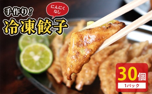 冷凍餃子 選べる単品 にんにくなし 30個×1p 餃子 セット ぎょうざ ギョウザ にんにく 不使用 肉 お肉 豚肉 豚 鶏肉 鳥 おつまみ 加工品 肉汁 惣菜 お弁当 冷凍ストック 寺岡商店 香川県 丸亀市
