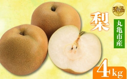 【2026年8月上旬より順次発送】 【秀品】 梨 約4kg 丸亀産 ナシ 果物 フルーツ 果肉 果汁 季節 甘い デザート ゼリー ジュース ふるさと納税フルーツ 香川県 丸亀市