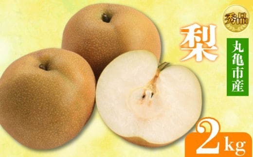 【2026年8月上旬より順次発送】 【秀品】 梨 約2kg 丸亀産 ナシ 果物 フルーツ 果肉 果汁 季節 甘い デザート ゼリー ジュース ふるさと納税フルーツ 香川県 丸亀市