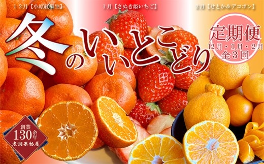 【全3回】 フルーツ定期便 温州みかん いちご せとか デコポン 小原紅早生 さぬき姫いちご みかん 蜜柑 オレンジ 苺 イチゴ 不知火 柑橘 高級 果物 フルーツ 定期便 デザート 果実 青果 甘い ジュース ゼリー ケーキ アイス シャーベット スイーツ 冬の味覚 国産 香川県 丸亀市 くだもの畑 PonPon