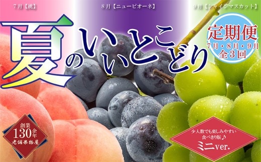 【全3回】フルーツ定期便「丸亀市夏のいいとこどり定期便」～少人数でも楽しみやすい食べきり版～/シャインマスカット 桃 ピオーネ 定期配送 頒布会 果実 果物 フルーツ 旬のフルーツ フルーツギフト フルーツ定期 フルーツ定期便 果物定期 果物定期便 人気果物 人気フルーツ 夏フルーツ