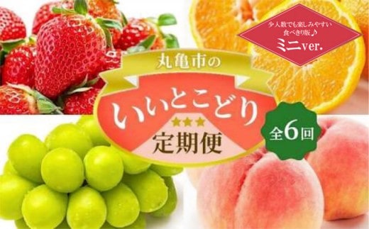 フルーツ定期便 丸亀市のいいとこどり定期便/ 少人数でも楽しみやすい食べきり版【全6回】シャインマスカット 桃 ピオーネ いちご みかん さぬきひめ 定期配送 頒布会 果実 果物 フルーツ 旬のフルーツ フルーツギフト フルーツ定期 フルーツ定期便 果物定期 果物定期便 人気果物 人気フルーツ 夏フルーツ 冬フルーツ