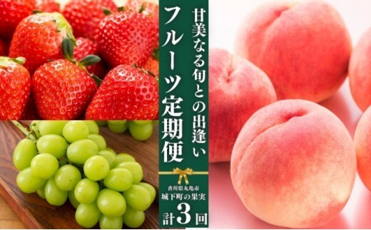 フルーツ 定期便 3回 旬に出逢う城下町の果実 定期配送 いちご 桃 シャインマスカット ぶどう 果実 果物 フルーツ 旬のフルーツ フルーツギフト フルーツ定期 フルーツ定期便 果物定期 果物定期便 人気果物 人気フルーツ 香川県 丸亀市