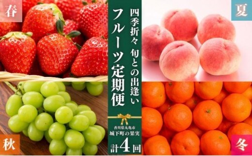 フルーツ 定期便 4回 旬に出逢う城下町の果実 定期配送 いちご 桃 シャインマスカット みかん ぶどう 果実 果物 フルーツ 旬のフルーツ フルーツギフト フルーツ定期 フルーツ定期便 果物定期 果物定期便 人気果物 人気フルーツ 香川県 丸亀市