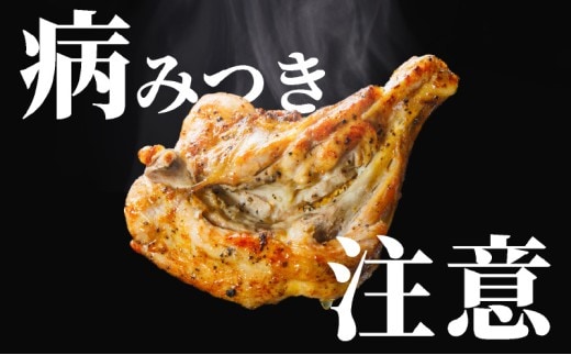 百貨店でも取扱い！本場丸亀の職人がつくる骨付き鳥3本 骨付き鳥 骨付き鶏 ローストチキン チキンレッグ 焼鳥 鶏肉 鳥肉 とりにく 骨付鳥 肉 鶏 ローストチキン 惣菜 加工肉 加工品 冷凍 おかず アウトドア キャンプ 簡単調理 ご当地グルメ B級グルメ おつまみ ビール 伝統 ふるさと納税骨付鶏 ふるさと納税肉 香川県 丸亀市