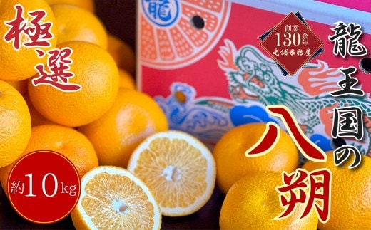 【2027年3月中旬より順次発送】【極撰】龍王国の八朔 約10kg はっさく ハッサク 柑橘 果物 フルーツ 果実 みかん ふるさと納税みかん 美味しい 人気 旬のフルーツ 旬の果物 フルーツギフト 果物ギフト お取り寄せ 香川県 丸亀市