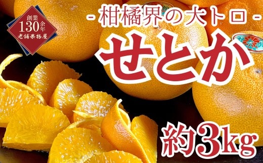 【2027 2月中旬~発送開始】せとか 約3kg 柑橘界の大トロ フルーツ 果物 果実 柑橘 柑橘類 オレンジ みかん 人気 旬 季節のフルーツ 旬のフルーツ デザート おやつ 旬の果物 季節の果物 香川 香川県 丸亀 丸亀市 先行 予約