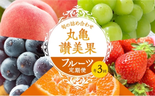 フルーツ定期便 丸亀讃美果 計3回定期便／ 果実 果物 旬 定期配送 シャインマスカット 桃 みかん いちご ピオーネ ぶどう 詰め合わせ 詰合せ デザート フルーツ定期 フルーツ定期便 果物定期 果物定期便 人気果物 人気フルーツ 香川 丸亀