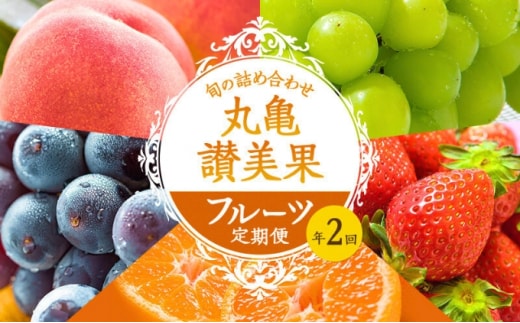 フルーツ定期便 丸亀讃美果 計2回定期便／ 果実 果物 旬 定期配送 シャインマスカット 桃 みかん いちご ピオーネ ぶどう 詰め合わせ 詰合せ デザート フルーツ定期 フルーツ定期便 果物定期 果物定期便 人気果物 人気フルーツ 香川 丸亀